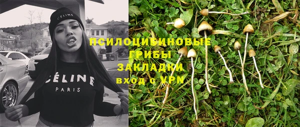 соль ск Арсеньев