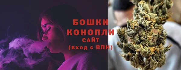 гашик Всеволожск