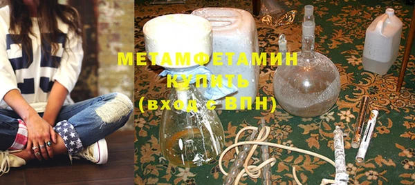 прущие грибы Богданович