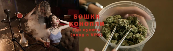 соль ск Арсеньев
