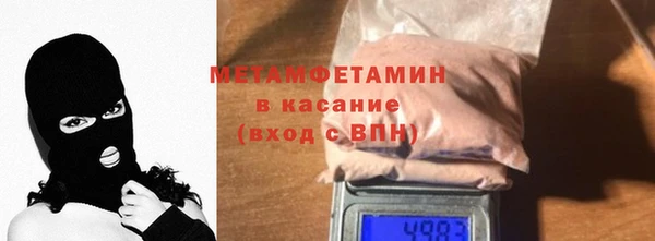 прущие грибы Богданович
